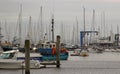 The crammed marina at Lymington Harbour home to the Royal Lymington Yacht Club. Taken on a dull grey summer's day in June