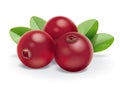 Cranberries