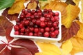 Cranberries.