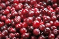 Cranberries