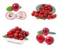 Cranberries