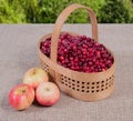 Cranberries in a basket on a fabric background and apples lying next