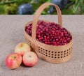 Cranberries in a basket on a fabric background and apples lying next Royalty Free Stock Photo