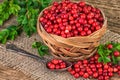 Cranberries basket