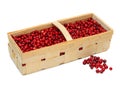 Cranberries in a basket Royalty Free Stock Photo