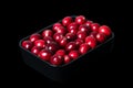 Fresh large cranberries, in a black bowl, isolated on black background Royalty Free Stock Photo