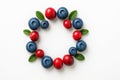 Cranberries and blueberries with green leaves on white background top down centered ring composition for fruit pattern healthy Royalty Free Stock Photo