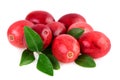 Cranberries close-up. Ripe cranberry with leaves isolated on white