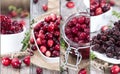 Cranberries Collage Royalty Free Stock Photo