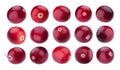 Cranberries collection, cranberry isolated on white background Royalty Free Stock Photo