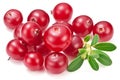 Cranberries and cranberry leaves isolated on white background