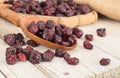 Cranberries dried and redy to eat Royalty Free Stock Photo