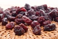 Cranberries dried and redy to eat Royalty Free Stock Photo