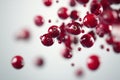 Cranberries falling in mid-air with full depth of field, isolated on a white background for a crisp and clean visual effect Royalty Free Stock Photo