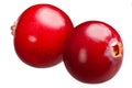 Cranberries v. oxycoccus, paths