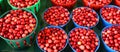 Cranberries are a group of evergreen dwarf shrubs