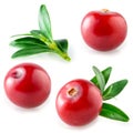 Cranberries isolated. Collection on white Royalty Free Stock Photo