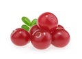 Cranberries isolated on white background Royalty Free Stock Photo