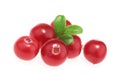 Cranberries isolated on white background