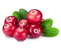 Cranberries Royalty Free Stock Photo