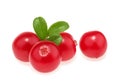 Cranberries isolated on white background Royalty Free Stock Photo