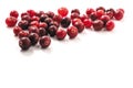 Cranberries isolated on white background