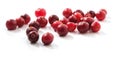 Cranberries isolated on white background Royalty Free Stock Photo