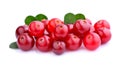 Cranberries with leafs. Royalty Free Stock Photo