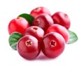 Cranberries with leafs. Royalty Free Stock Photo