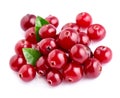 Cranberries with leafs . Royalty Free Stock Photo