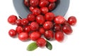 Cranberries