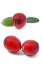 Cranberries