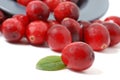 Cranberries