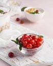 cranberries small bowl bio food lifestyle concept. High quality photo