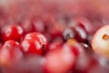 The cranberries. Small forest red berry. A scattering of cranberries. Vitamins from nature. Macro photo. Selective focus