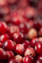 The cranberries. Small forest red berry. A scattering of cranberries. Vitamins from nature. Macro photo. Selective focus