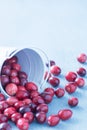 Cranberries in a white fallen over bucket