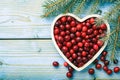 Cranberries on white tray on blue wooden background.