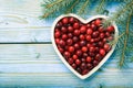 Cranberries on white tray on blue wooden background.