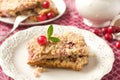 Cranberrry crumb bars Royalty Free Stock Photo