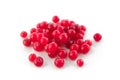 Cranberry