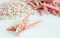 Cranberry bean pods and seeds heap Royalty Free Stock Photo