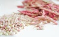 Cranberry bean pods and seeds heap Royalty Free Stock Photo