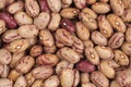 Cranberry beans Royalty Free Stock Photo