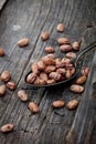 Cranberry beans on spoon Royalty Free Stock Photo