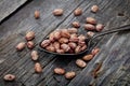 Cranberry beans on spoon Royalty Free Stock Photo