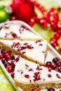 Cranberry bliss bar Royalty Free Stock Photo