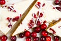 Cranberry bliss bar Royalty Free Stock Photo