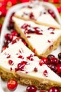 Cranberry bliss bar Royalty Free Stock Photo