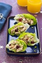 Cranberry chicken salad Royalty Free Stock Photo